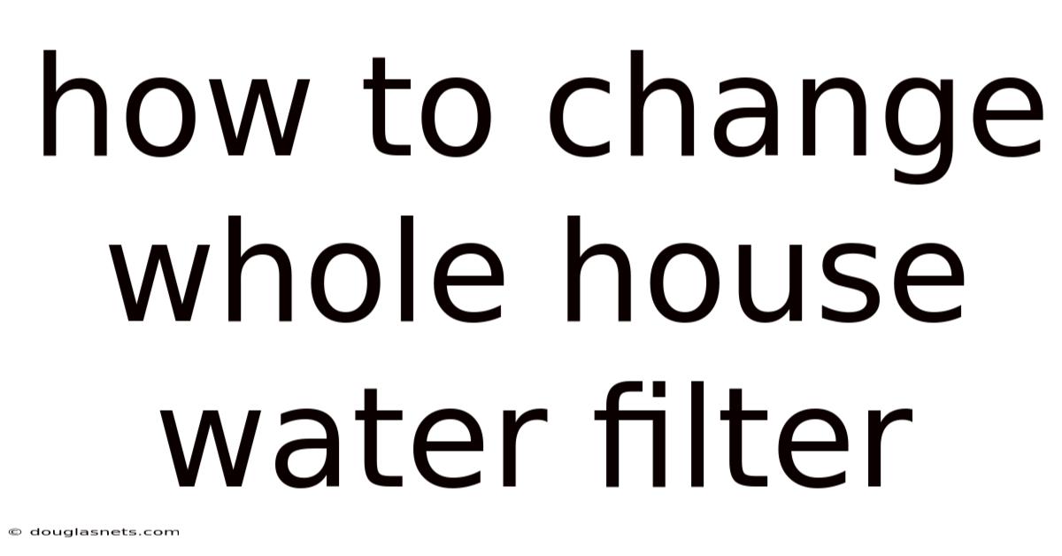 How To Change Whole House Water Filter