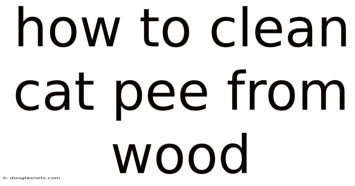 How To Clean Cat Pee From Wood