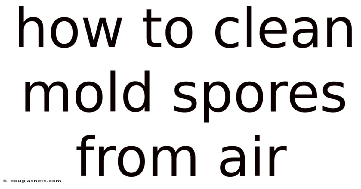 How To Clean Mold Spores From Air