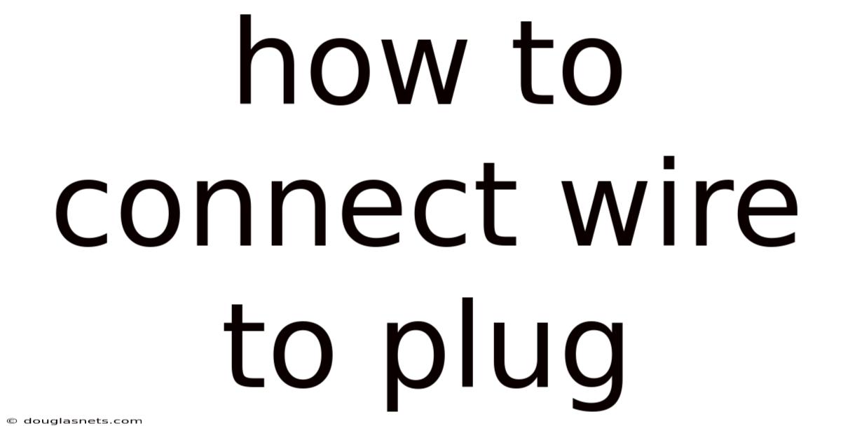 How To Connect Wire To Plug