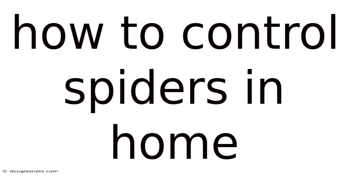 How To Control Spiders In Home