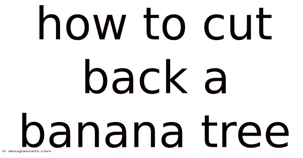 How To Cut Back A Banana Tree