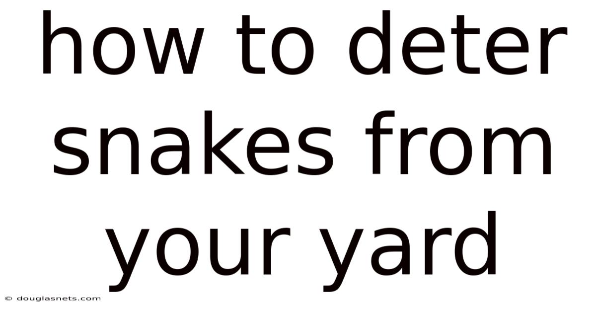 How To Deter Snakes From Your Yard