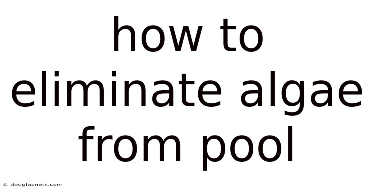How To Eliminate Algae From Pool