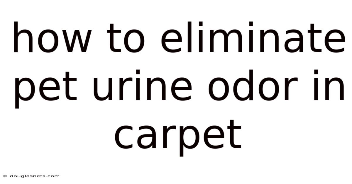 How To Eliminate Pet Urine Odor In Carpet