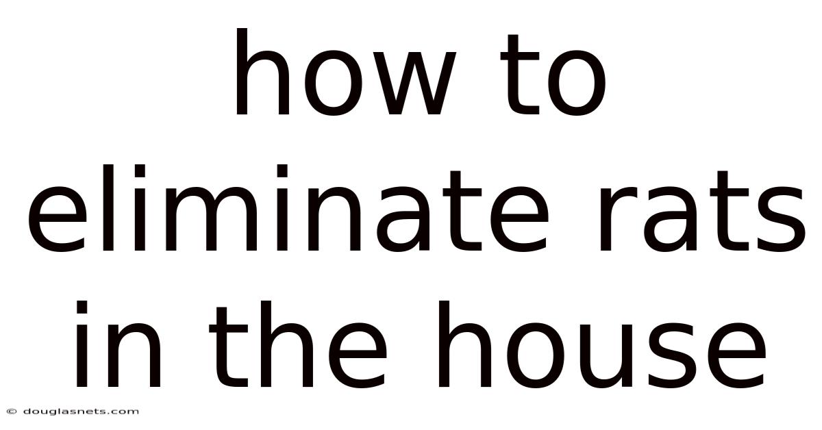 How To Eliminate Rats In The House