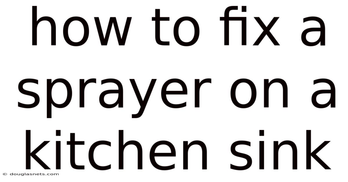 How To Fix A Sprayer On A Kitchen Sink
