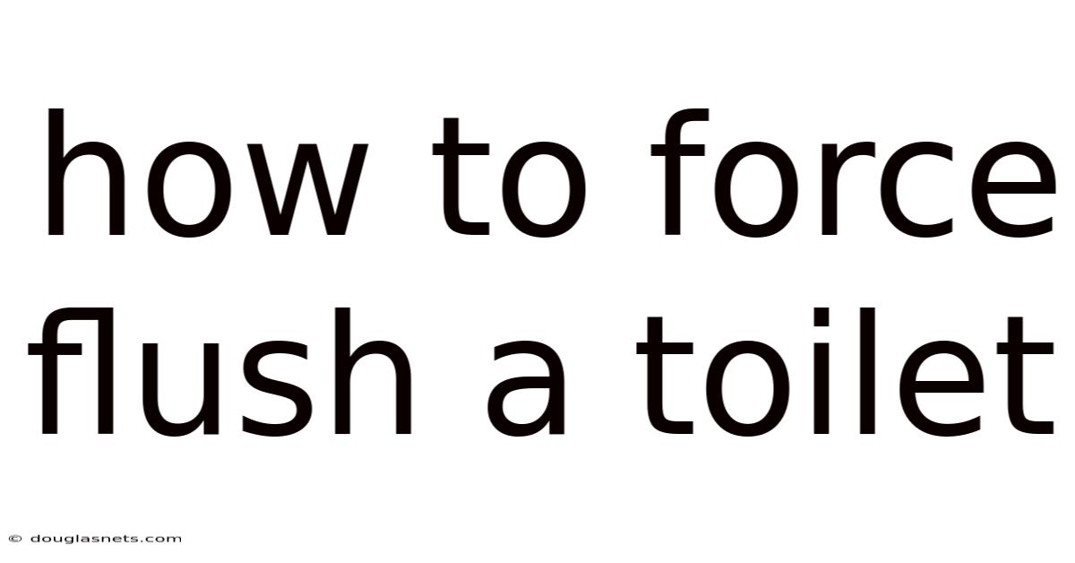 How To Force Flush A Toilet