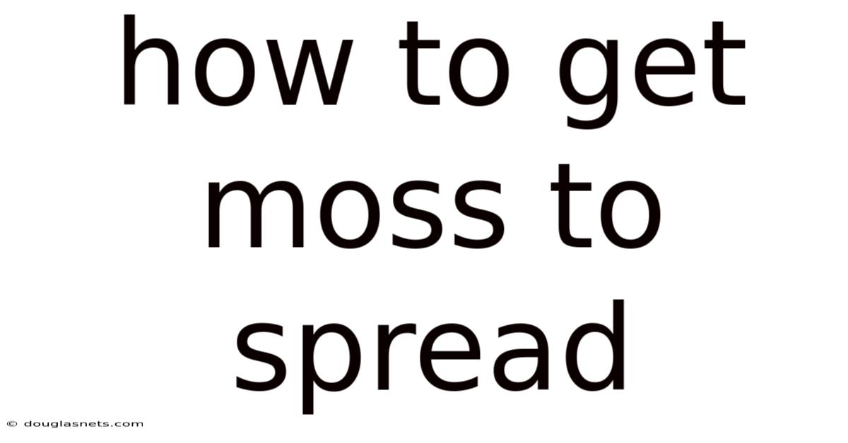 How To Get Moss To Spread