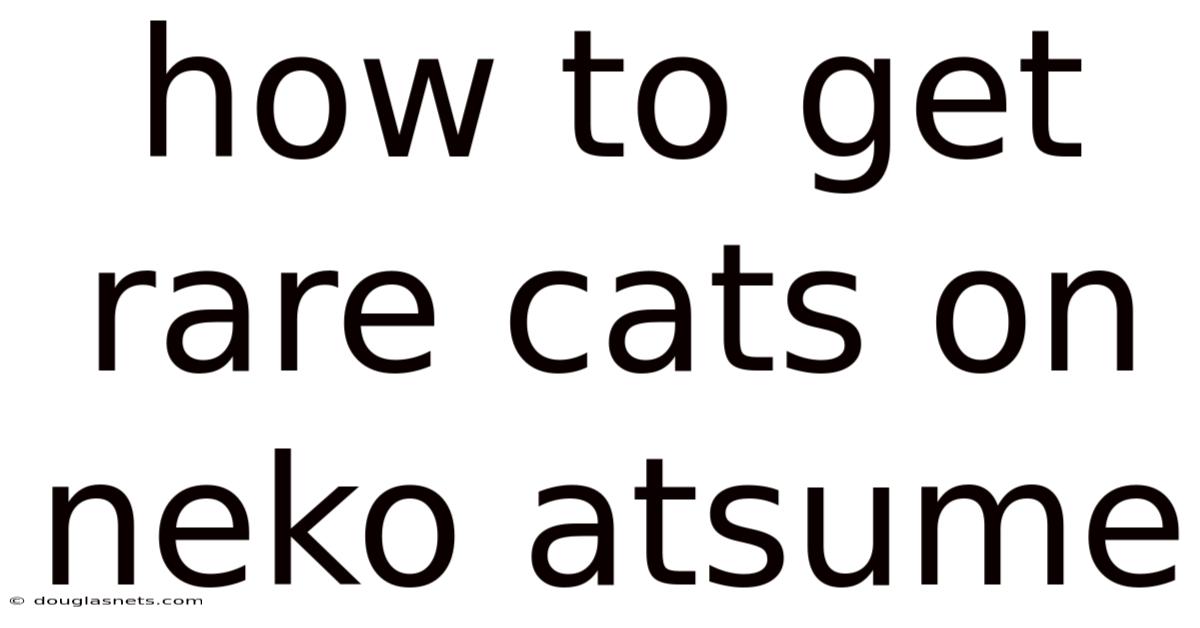 How To Get Rare Cats On Neko Atsume
