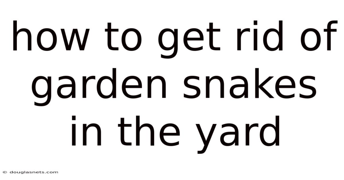 How To Get Rid Of Garden Snakes In The Yard