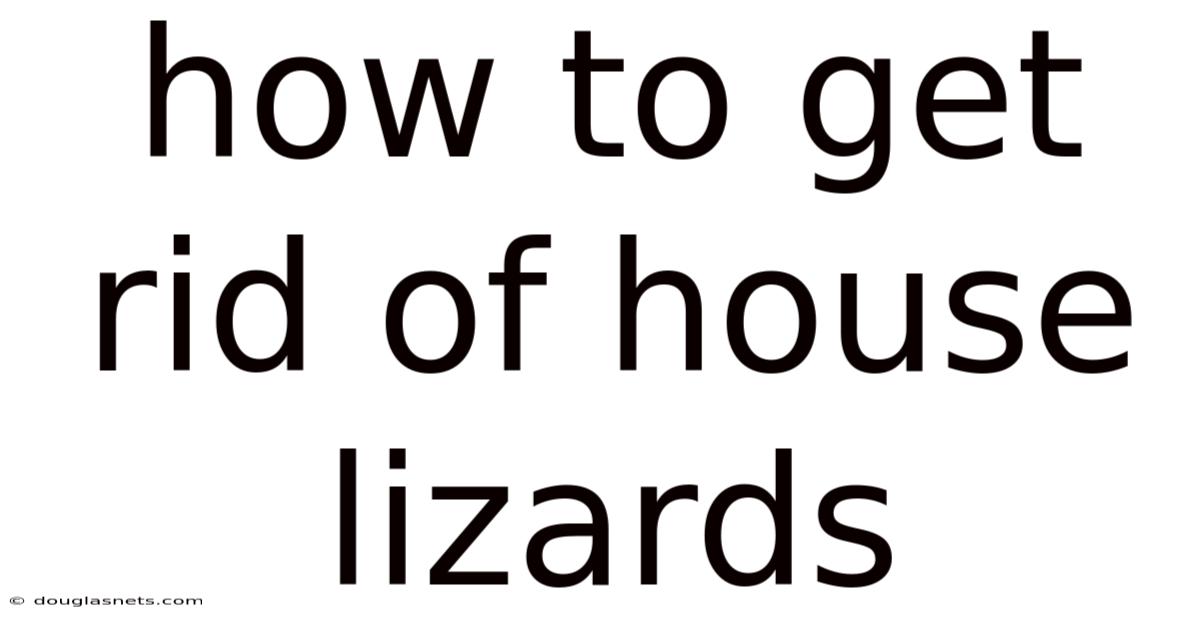 How To Get Rid Of House Lizards