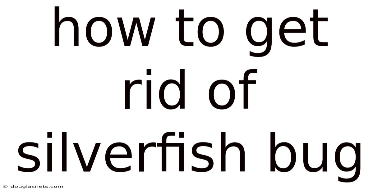 How To Get Rid Of Silverfish Bug