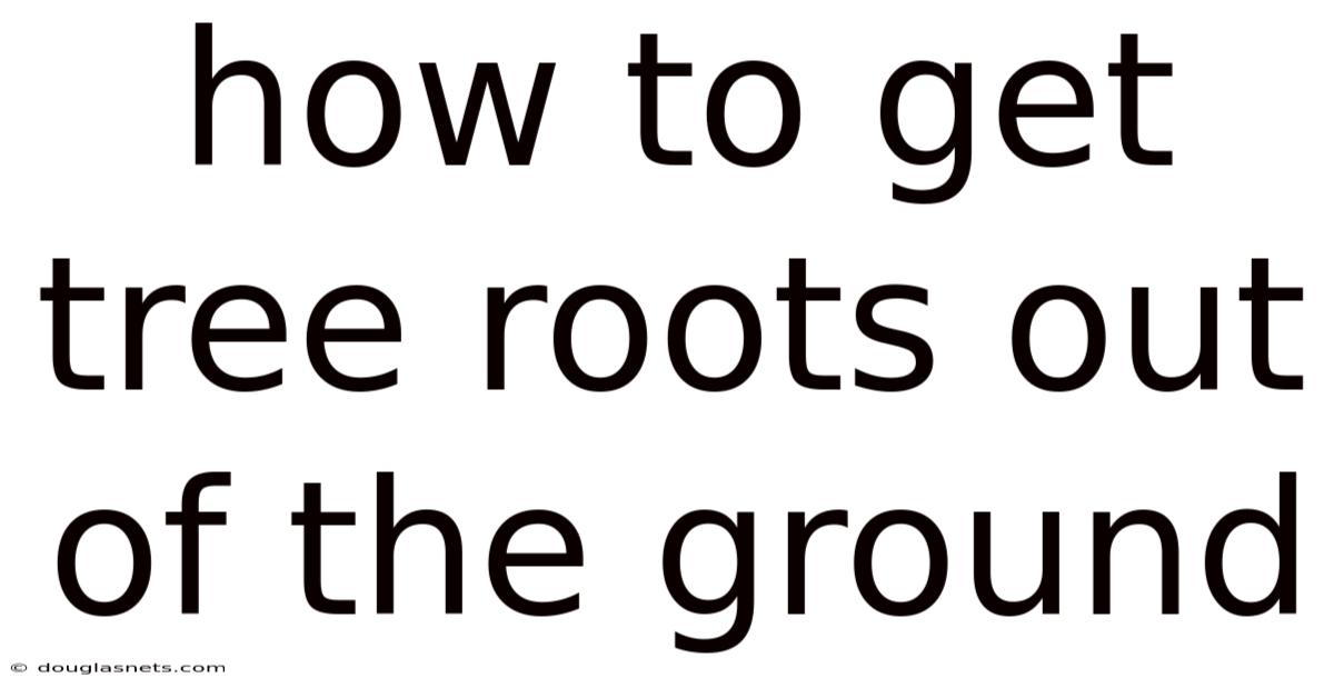How To Get Tree Roots Out Of The Ground