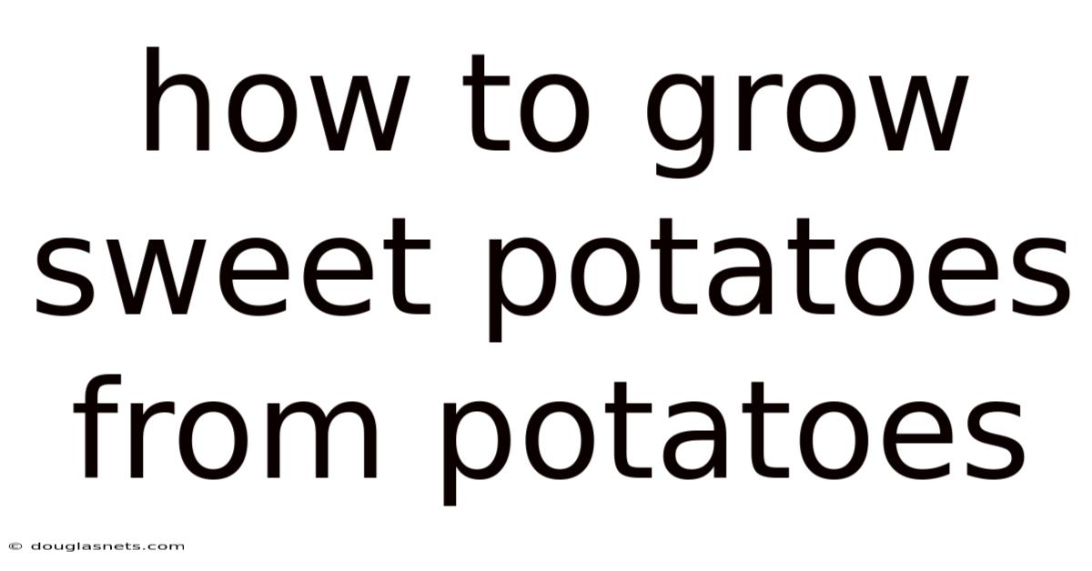 How To Grow Sweet Potatoes From Potatoes