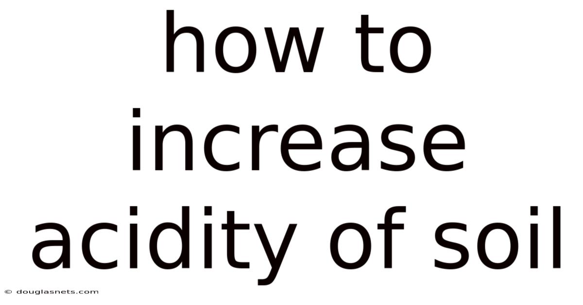 How To Increase Acidity Of Soil