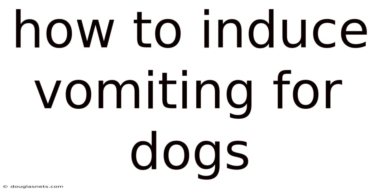 How To Induce Vomiting For Dogs