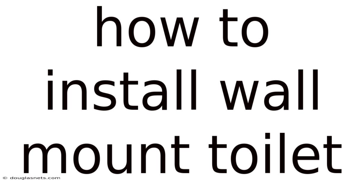 How To Install Wall Mount Toilet