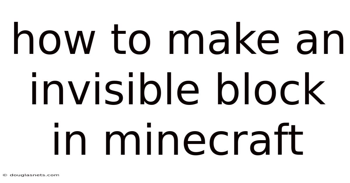 How To Make An Invisible Block In Minecraft