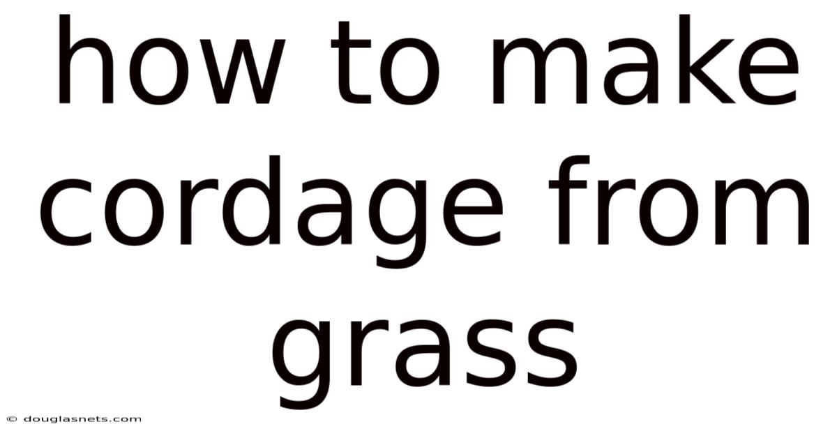 How To Make Cordage From Grass