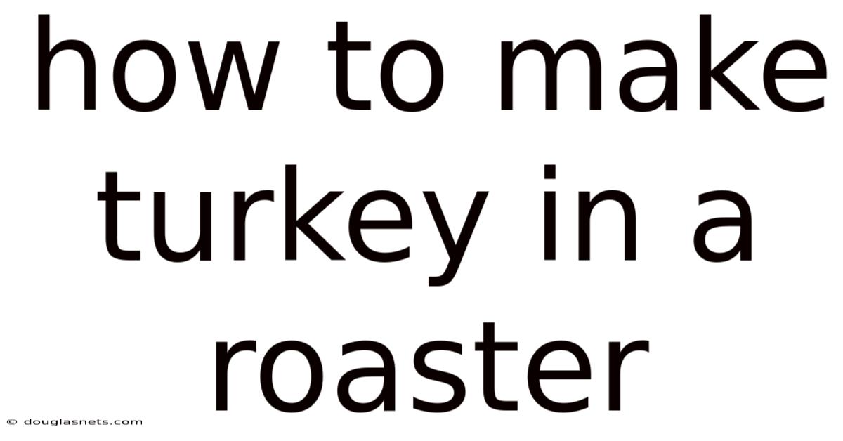 How To Make Turkey In A Roaster