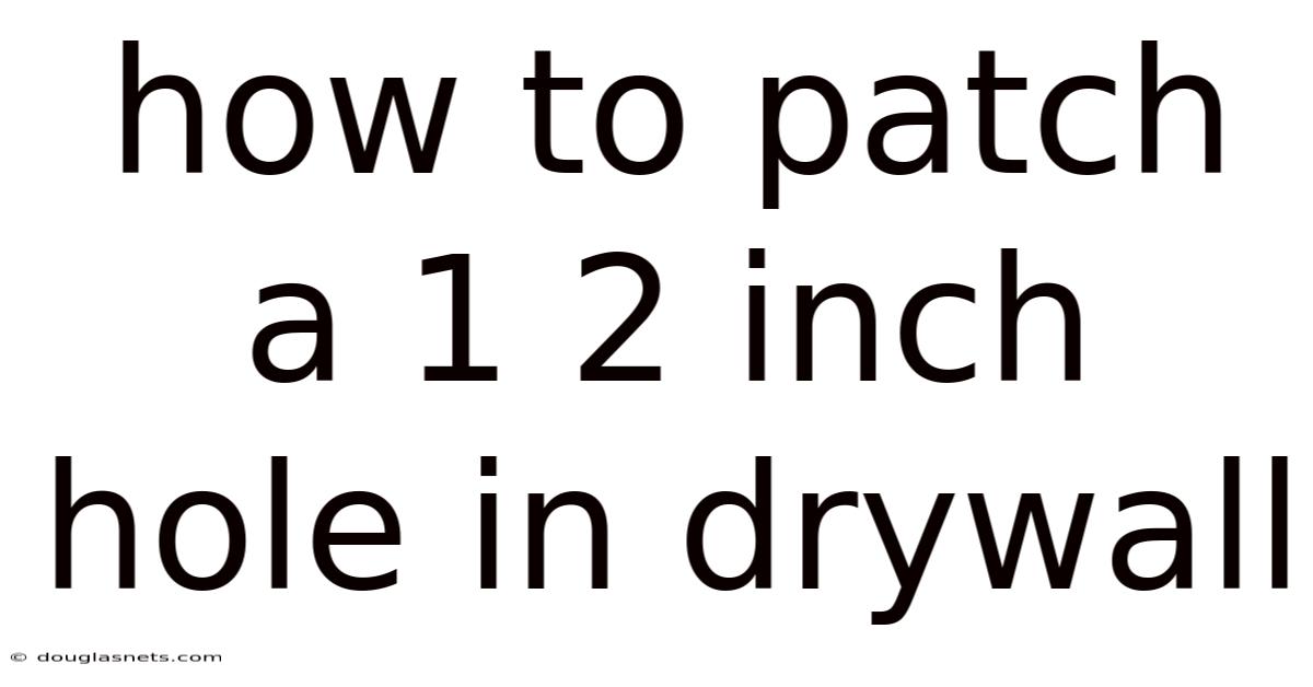 How To Patch A 1 2 Inch Hole In Drywall