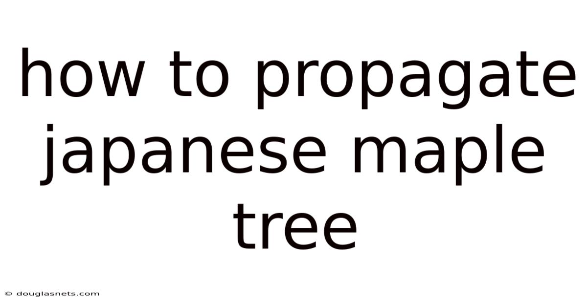 How To Propagate Japanese Maple Tree