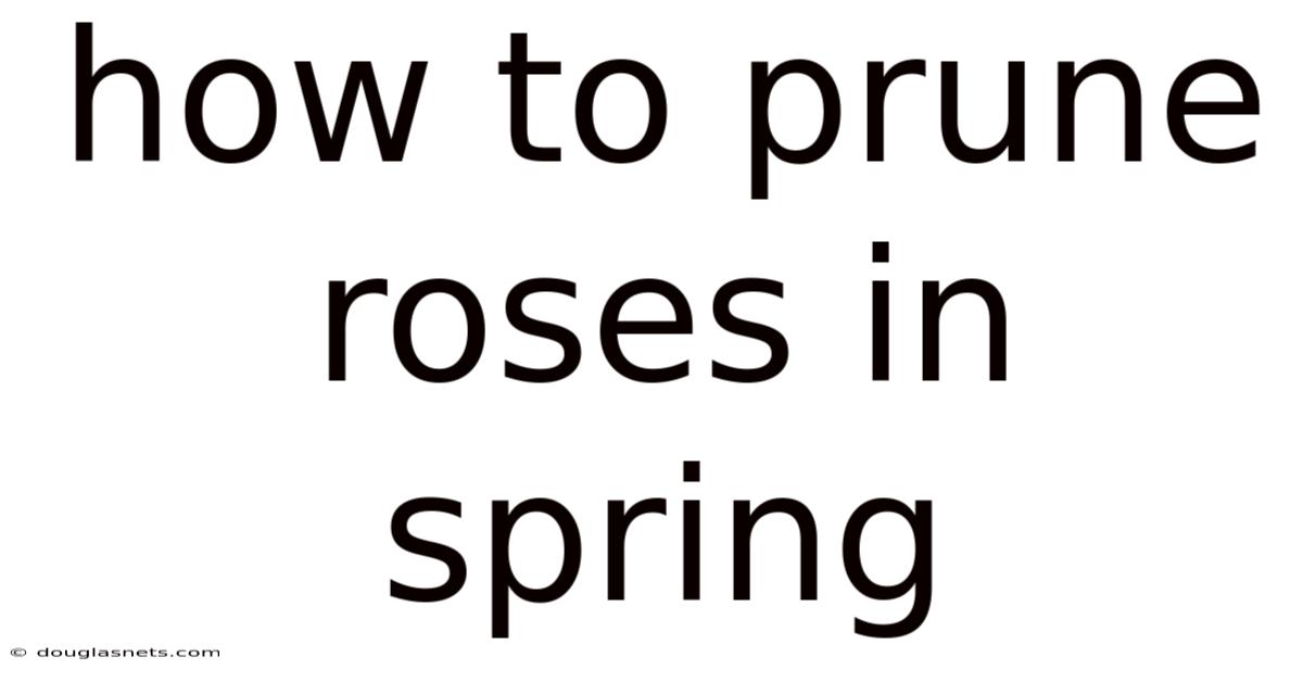 How To Prune Roses In Spring