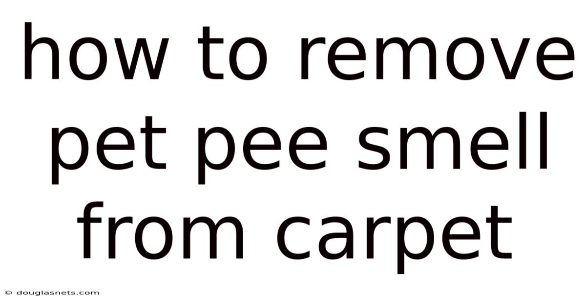 How To Remove Pet Pee Smell From Carpet