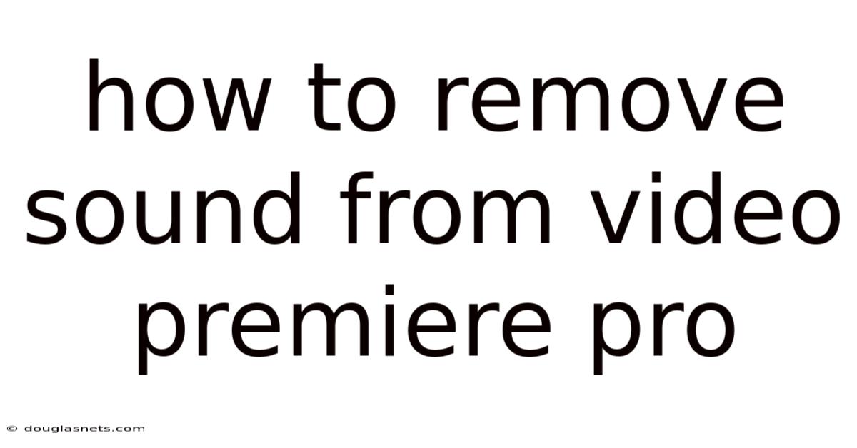 How To Remove Sound From Video Premiere Pro