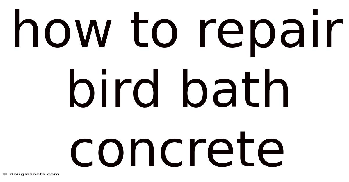 How To Repair Bird Bath Concrete