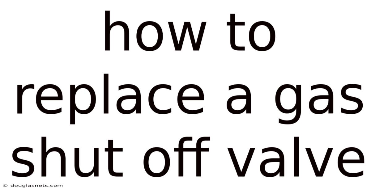 How To Replace A Gas Shut Off Valve