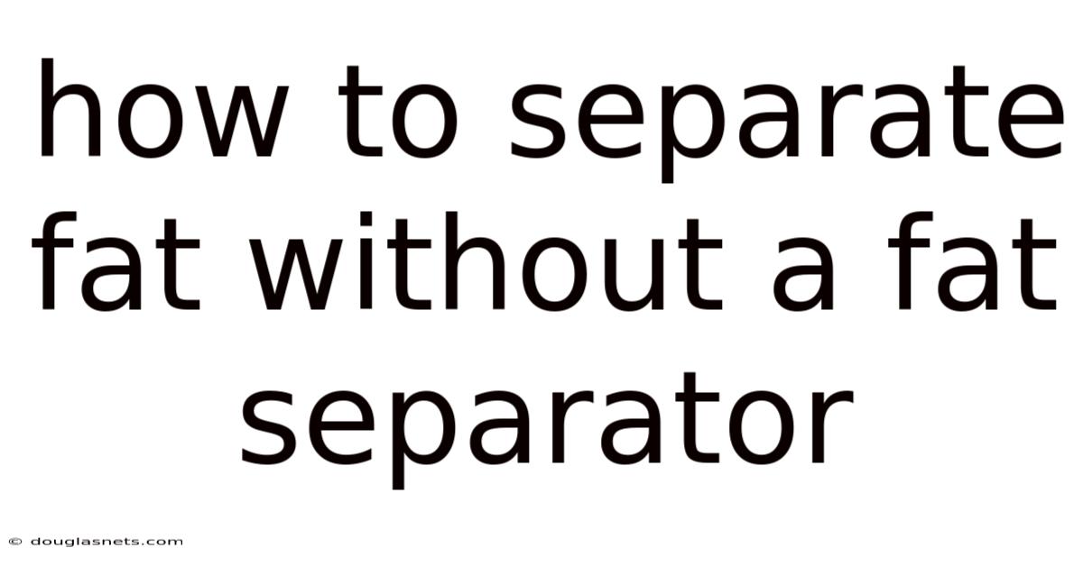 How To Separate Fat Without A Fat Separator