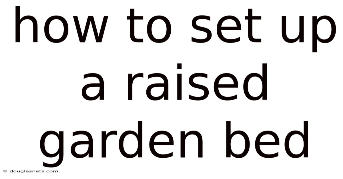 How To Set Up A Raised Garden Bed