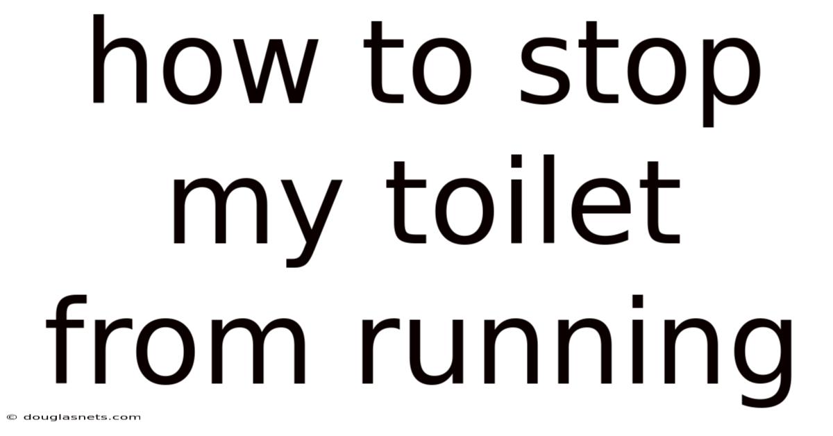 How To Stop My Toilet From Running