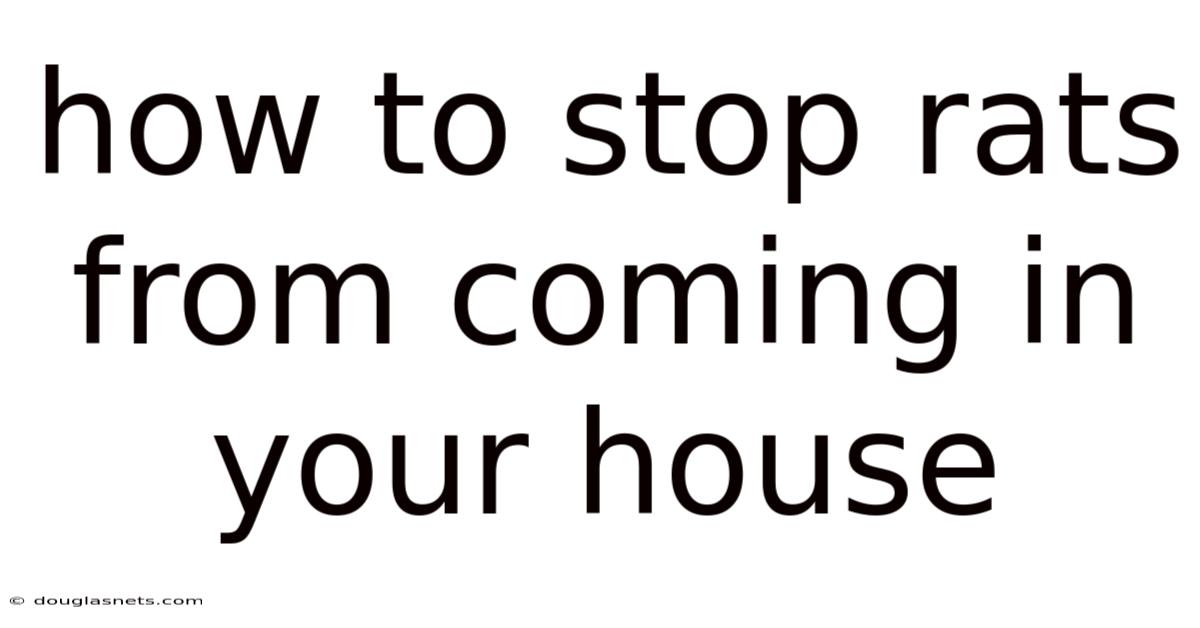 How To Stop Rats From Coming In Your House