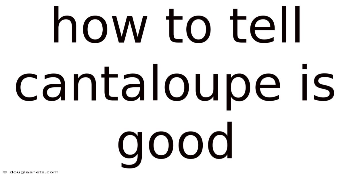 How To Tell Cantaloupe Is Good