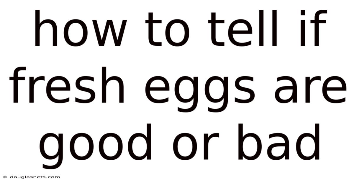 How To Tell If Fresh Eggs Are Good Or Bad