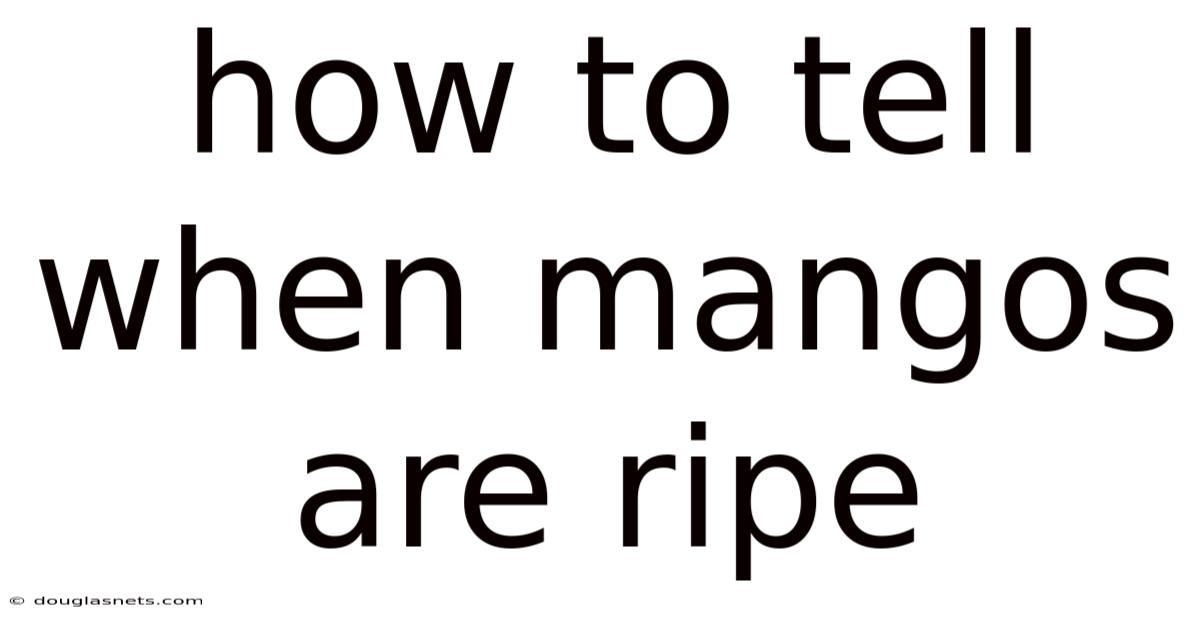 How To Tell When Mangos Are Ripe