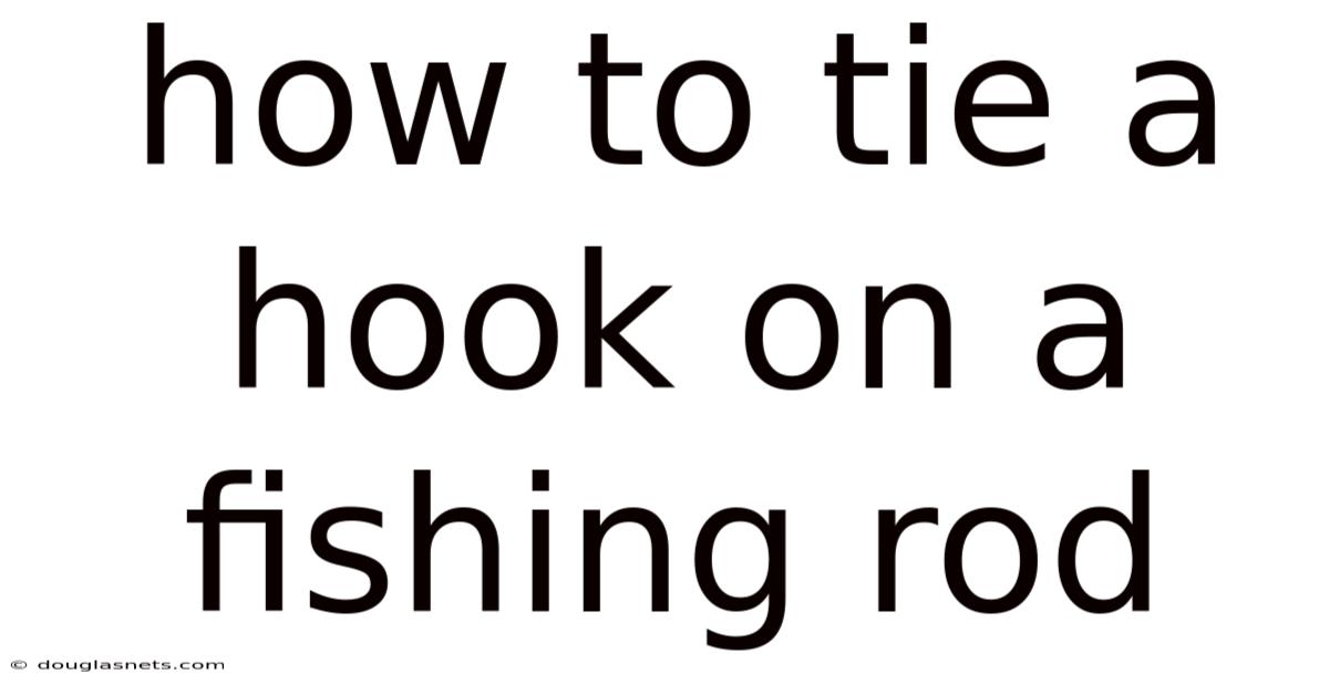 How To Tie A Hook On A Fishing Rod