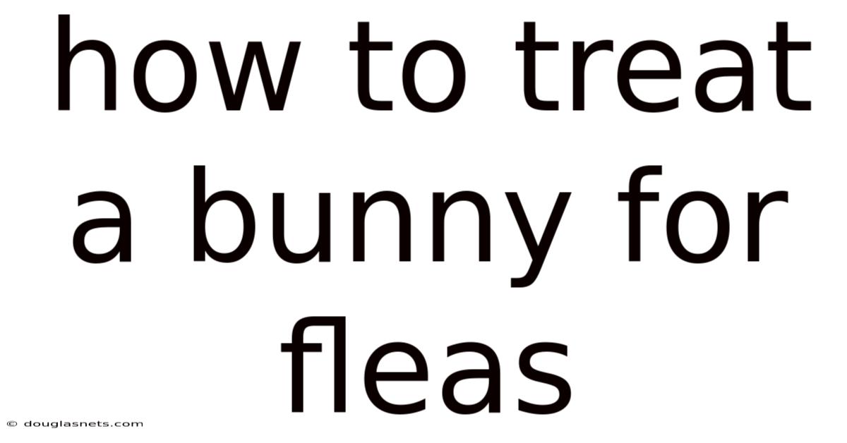 How To Treat A Bunny For Fleas