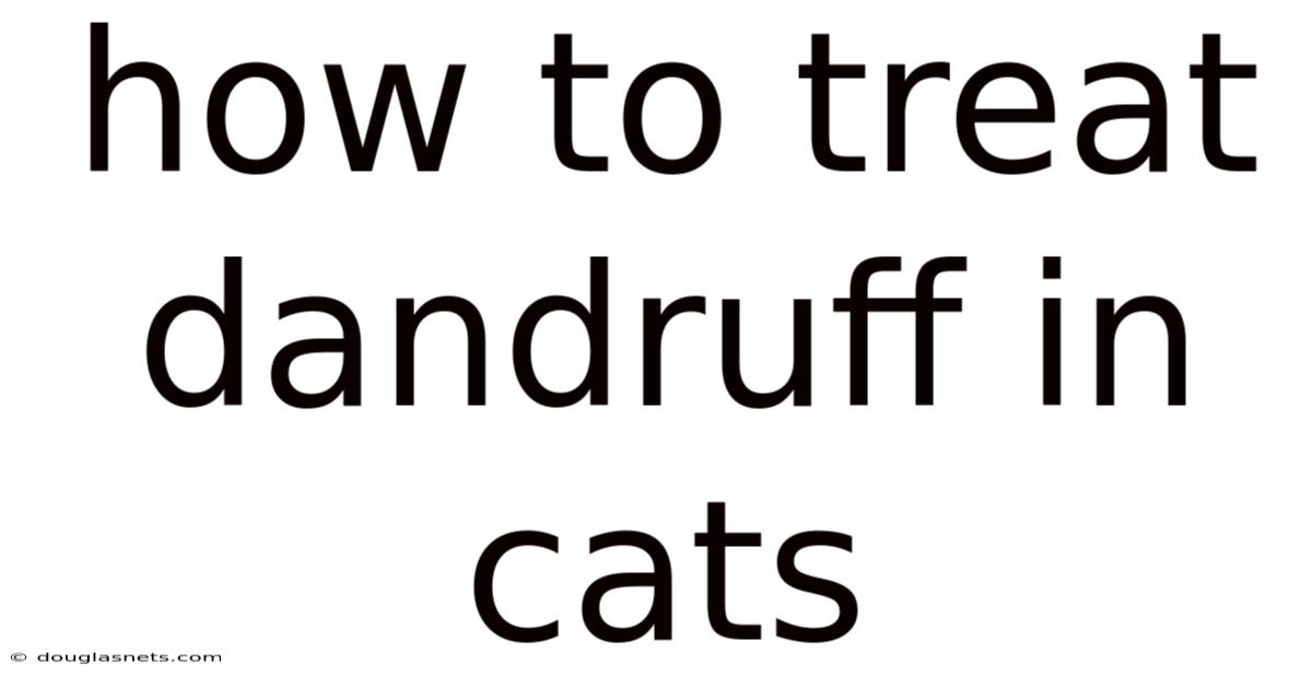 How To Treat Dandruff In Cats