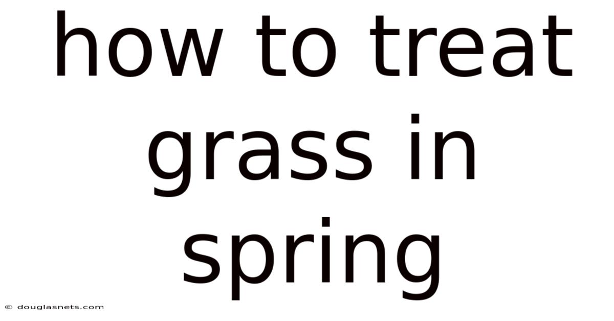 How To Treat Grass In Spring