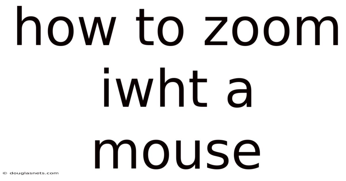 How To Zoom Iwht A Mouse