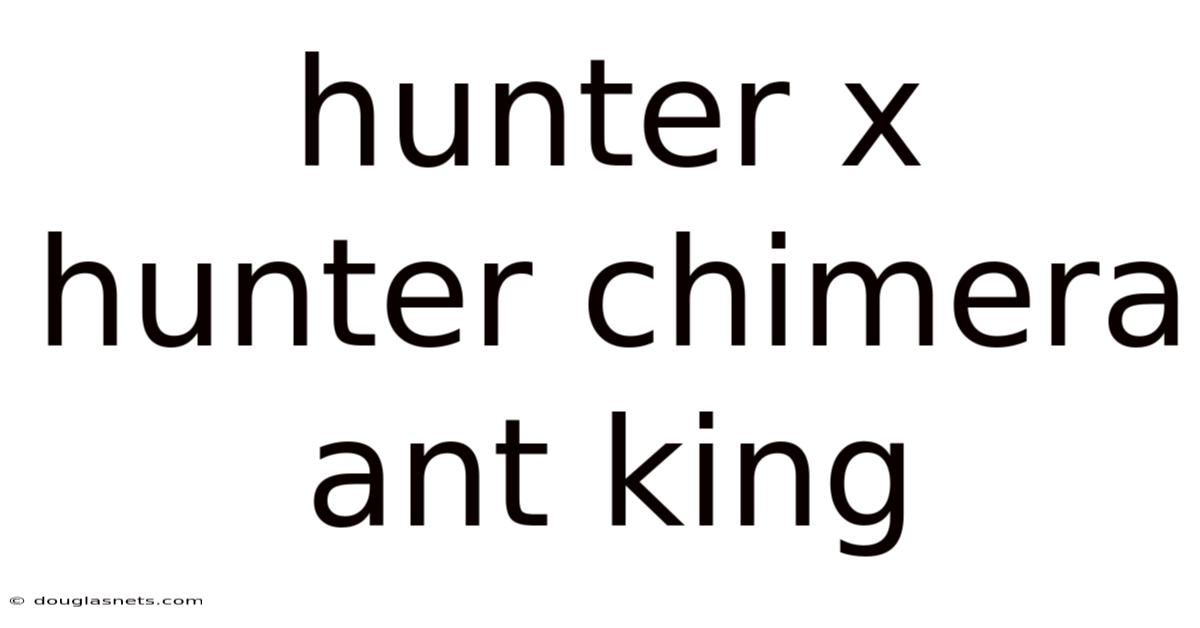 Hunter X Hunter Chimera Ant King