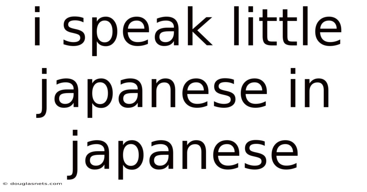 I Speak Little Japanese In Japanese