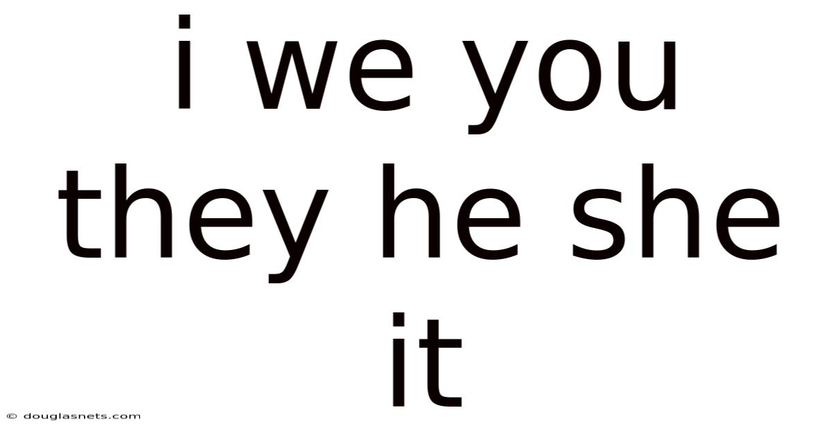 I We You They He She It