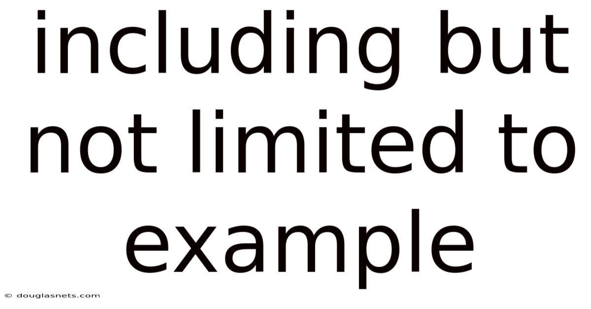 Including But Not Limited To Example
