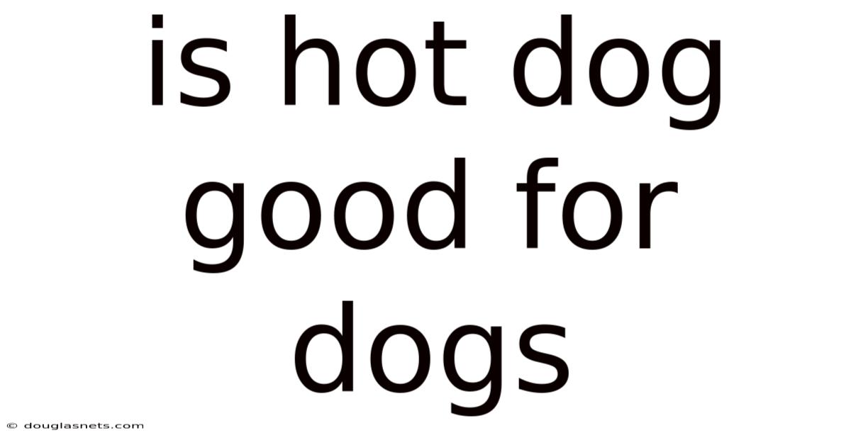 Is Hot Dog Good For Dogs
