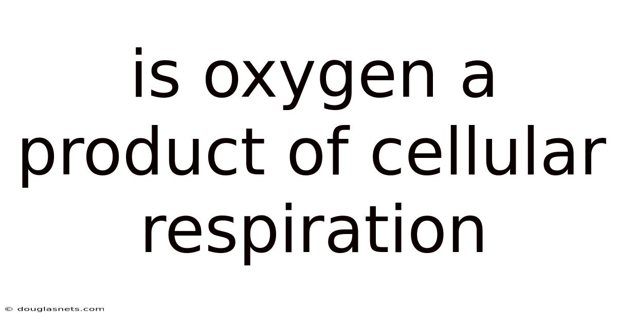 Is Oxygen A Product Of Cellular Respiration